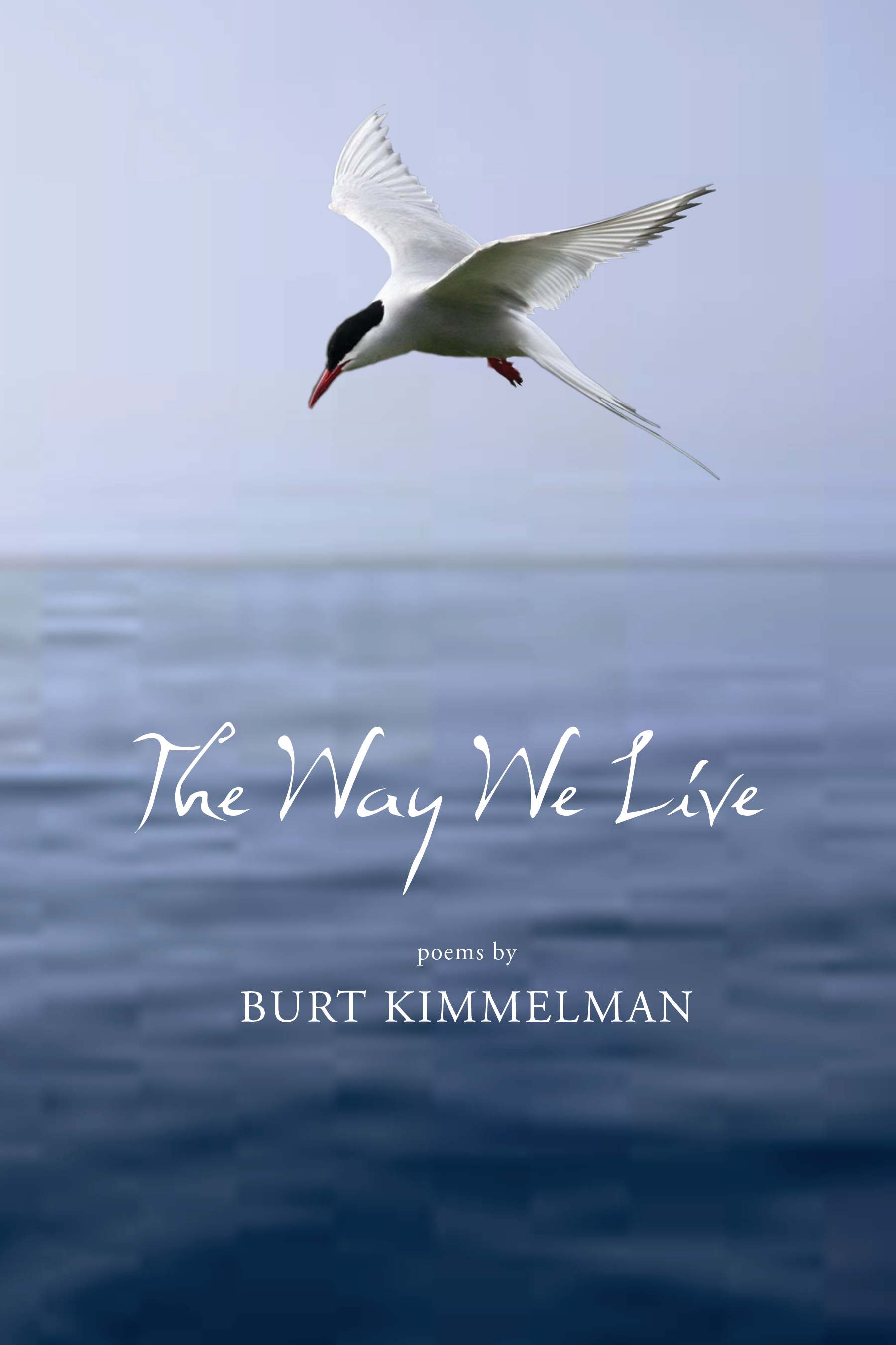 WayWeLiveFrontCover