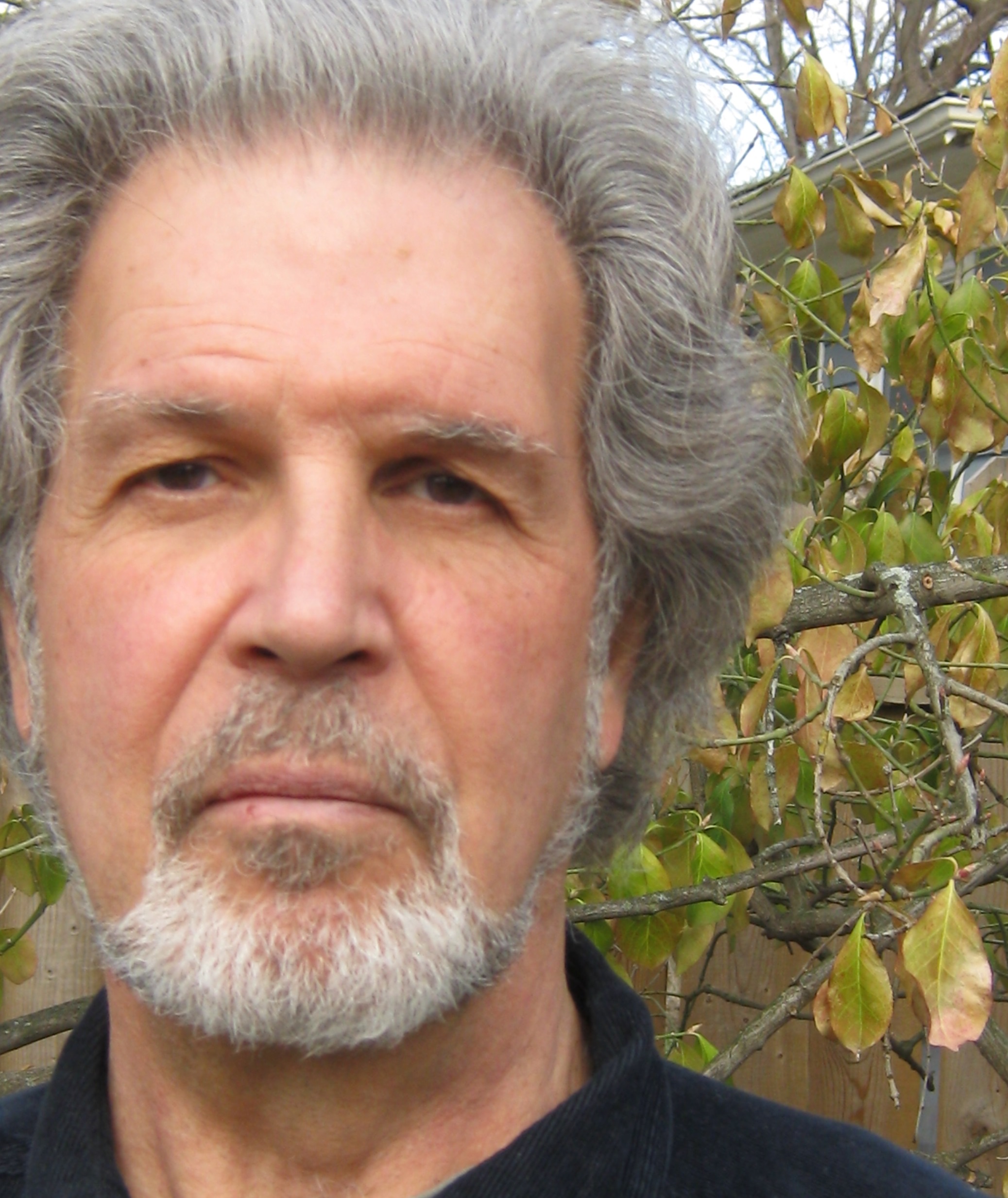 kimmelmanauthorphoto